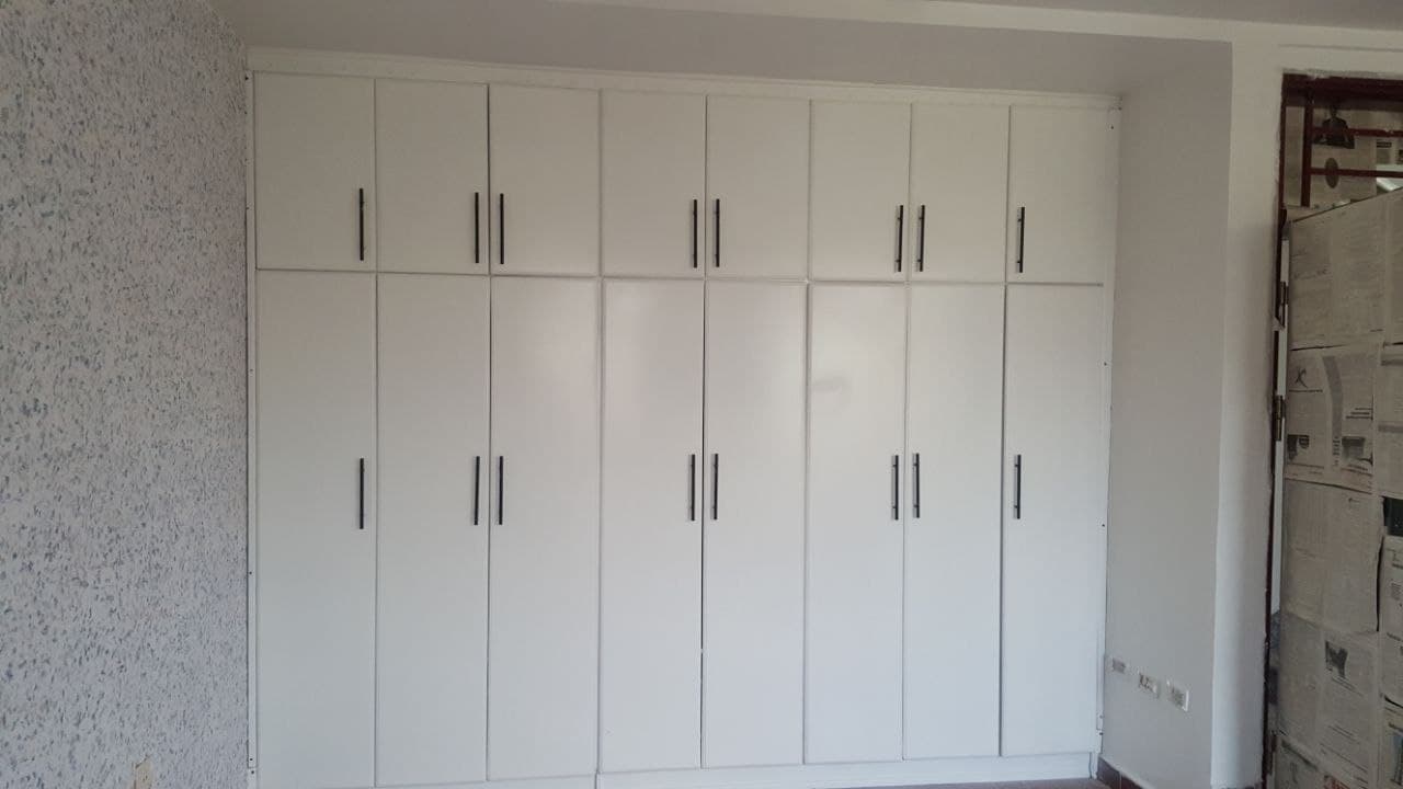 Built-in cupboard with shelving and doors